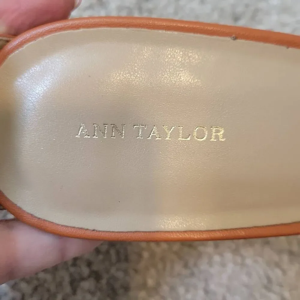 Ann Taylor great size